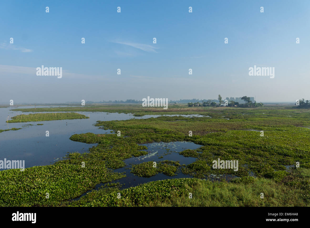 Bird nature reserve in Bangladesh Stock Photo