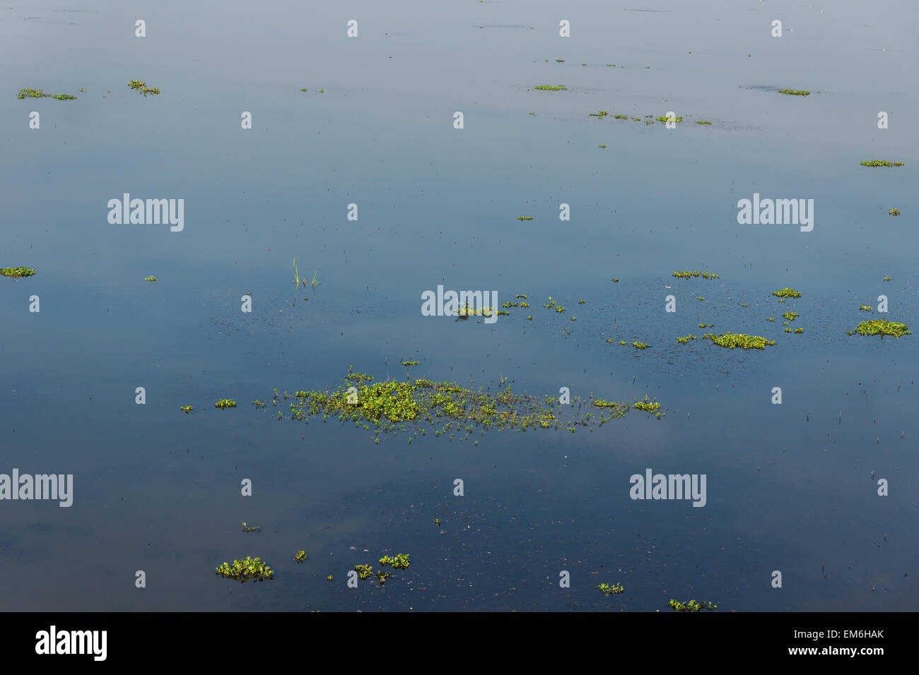 Bangladesh nature hi-res stock photography and images - Alamy
