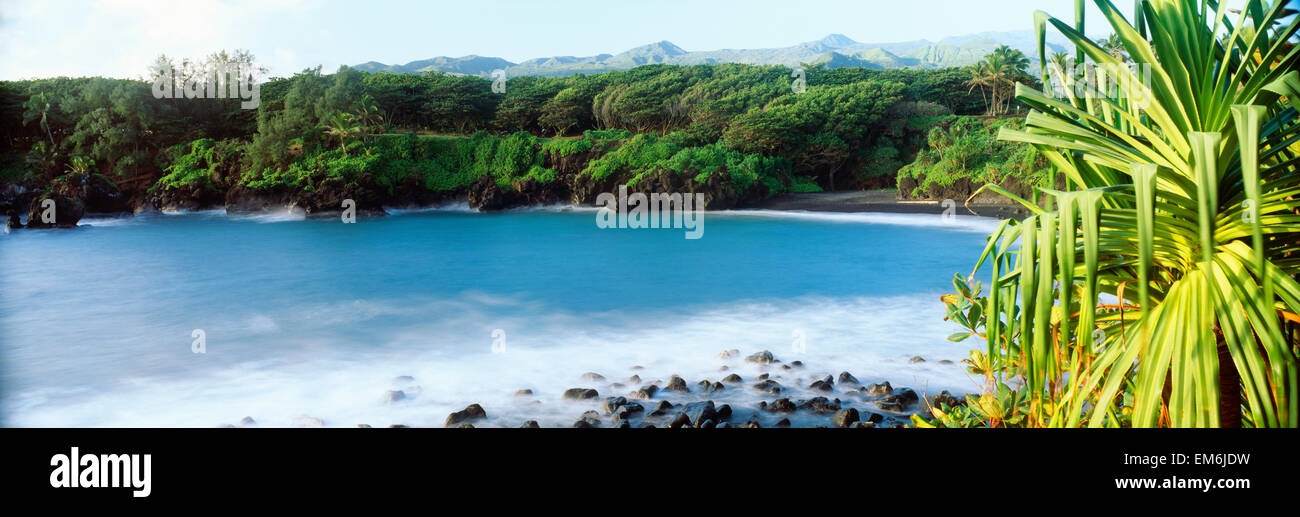 USA, Hawaii, Maui, Waianapanapa State Park; Hana, Lush Green Foliage And Frothy Ocean On Lava Rocks Stock Photo