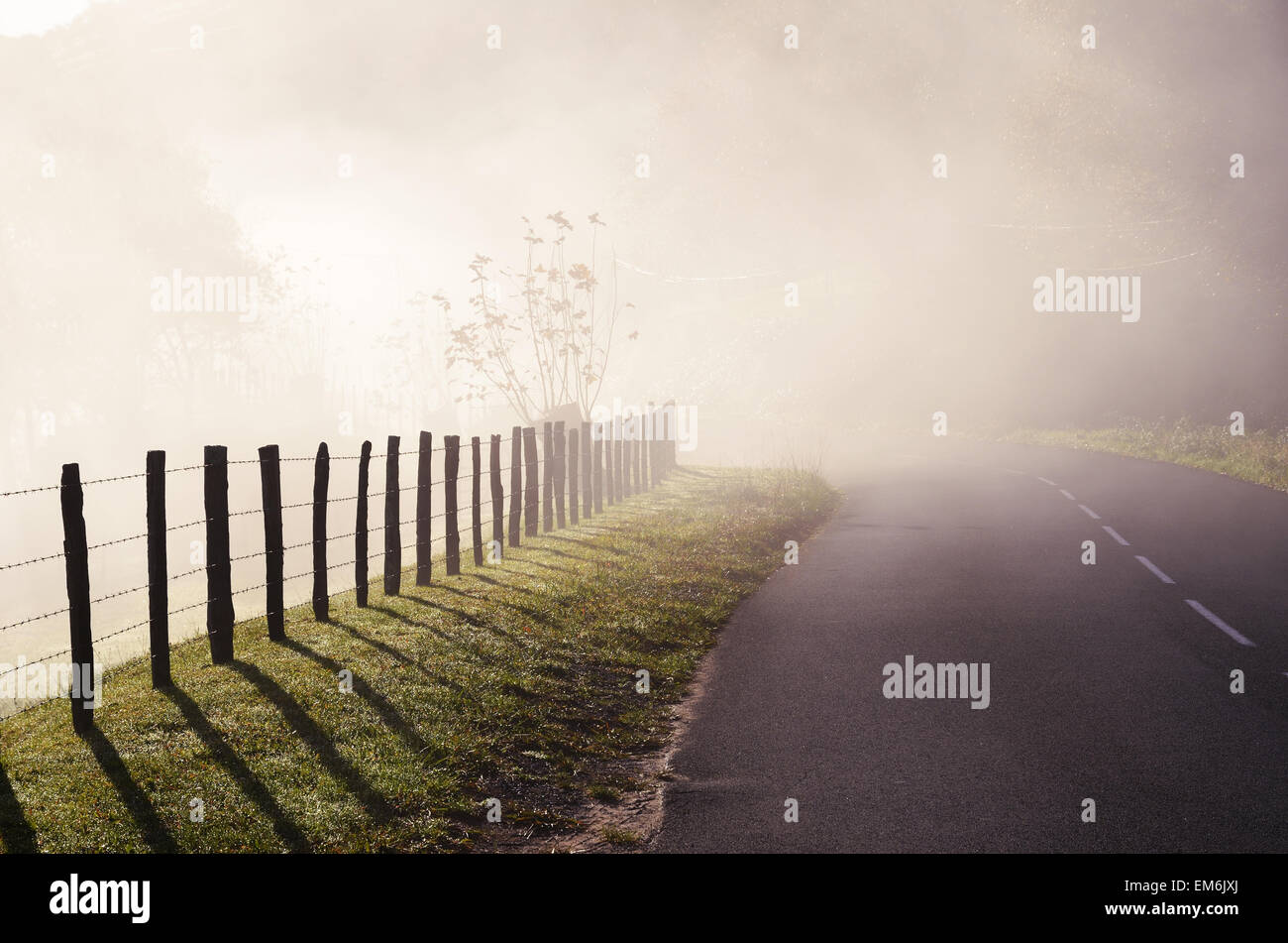 Country road in the fog Stock Photo - Alamy