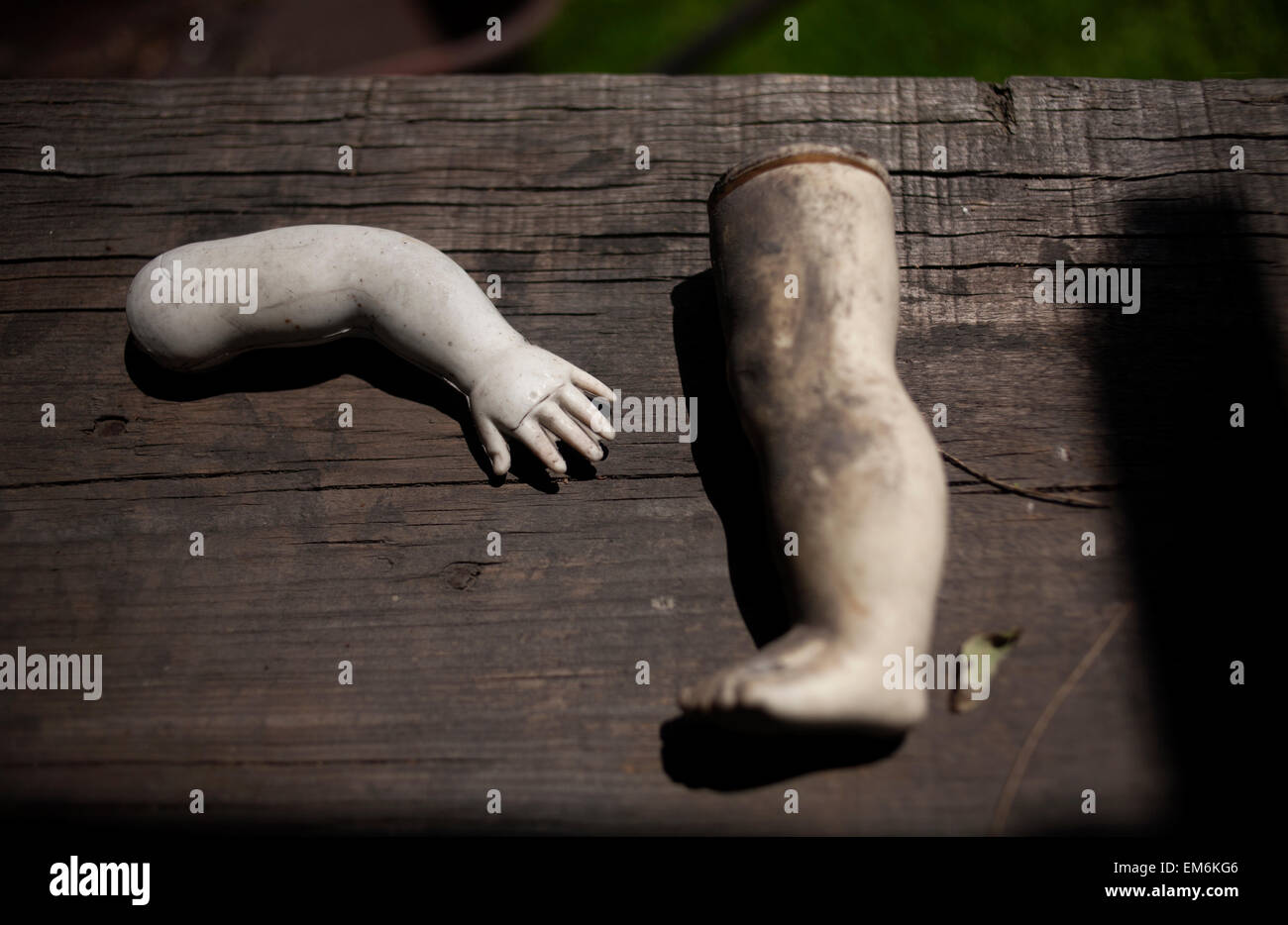 A leg and an arm of a doll on the Island of the Dolls in Xochimilco, southern Mexico City Stock Photo