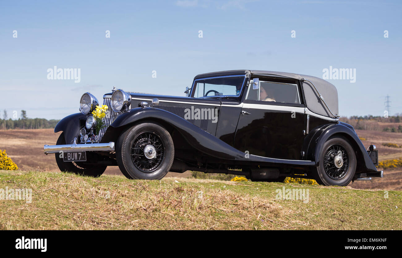A vintage car competing in the Daffodil Run in the New Forest on a sunny day. Stock Photo