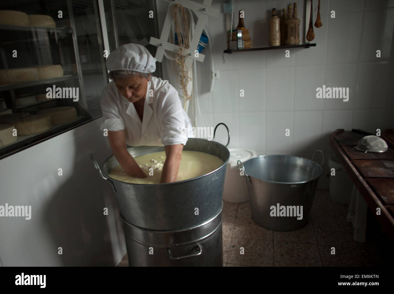 A woman works making Pecorino cheese in Quesos Oliva artisanal cheese making workshop  in Villaluenga del Rosario, Sierra de Grazalema Natural Park, Cadiz province, Andalusia, Spain Stock Photo