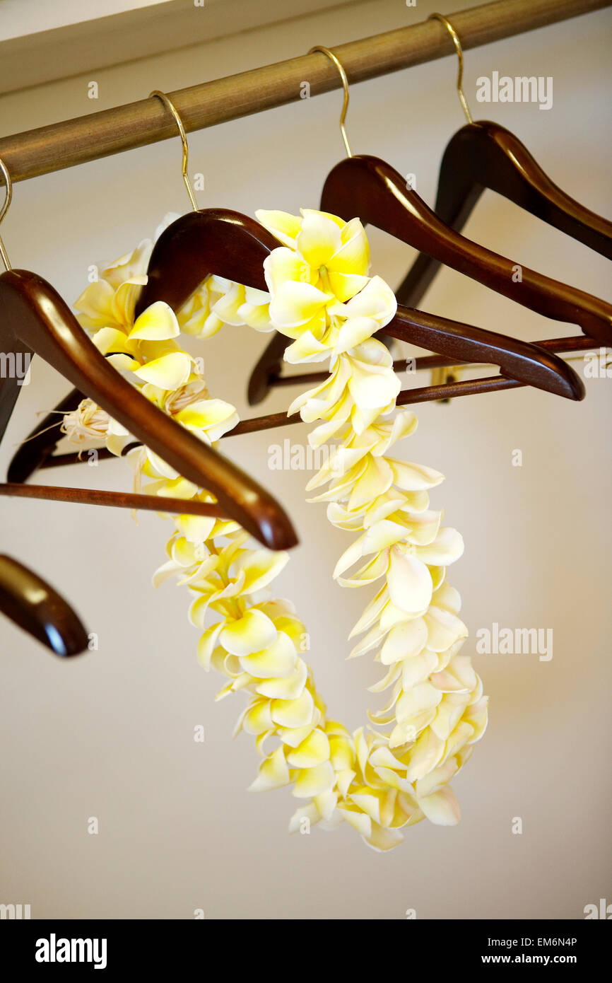 USA, Hawaii, Flower Lei On Hanger; Kona Stock Photo Alamy