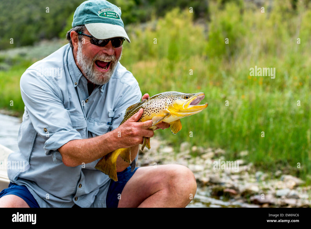 A man with a 21 inch Brown on the Green River Stock Photo