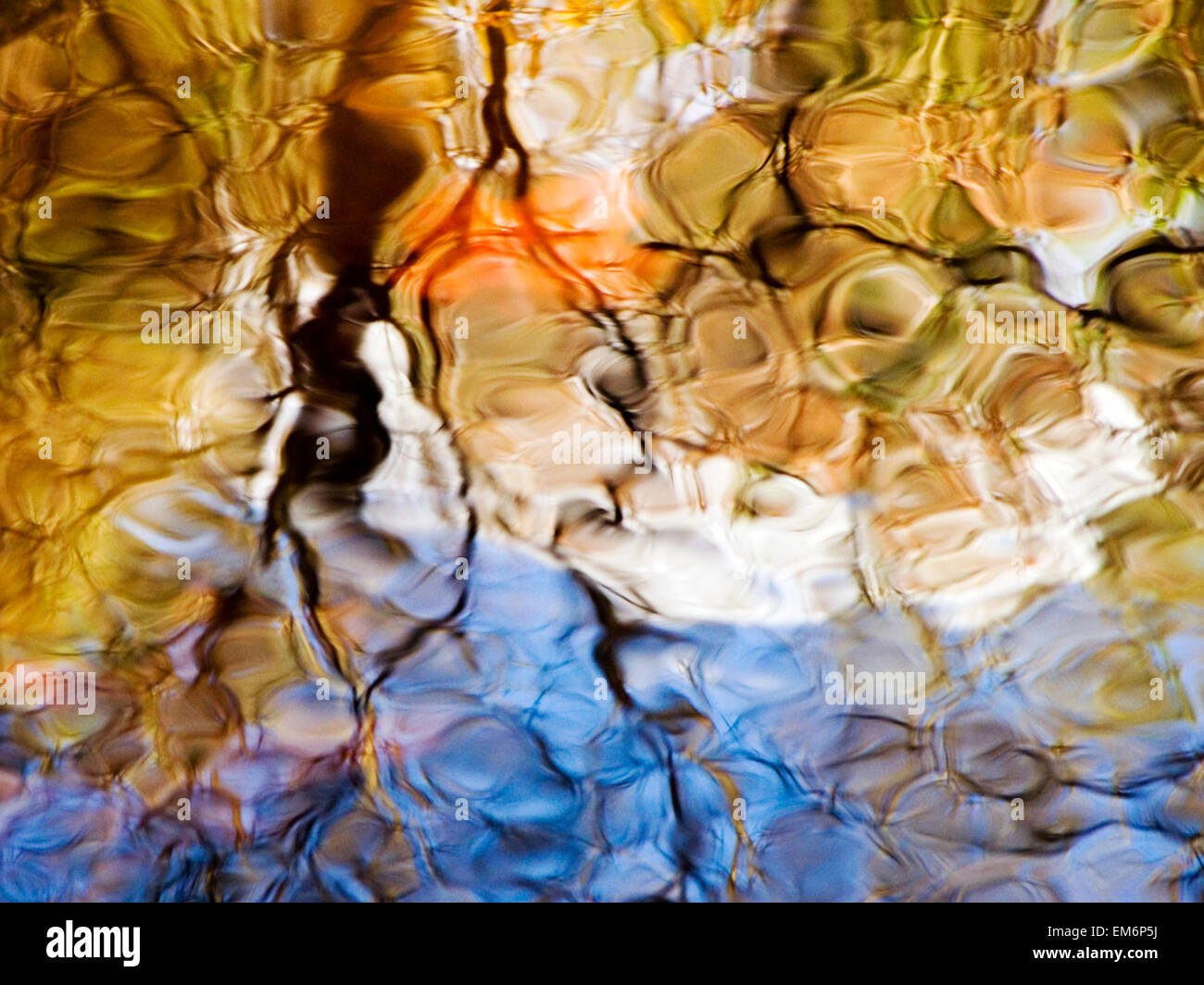 Elementals, Massachusetts, Seekonk, Caratunk Wildlife Refuge, Colorful Glassy Reflections On Water. Stock Photo