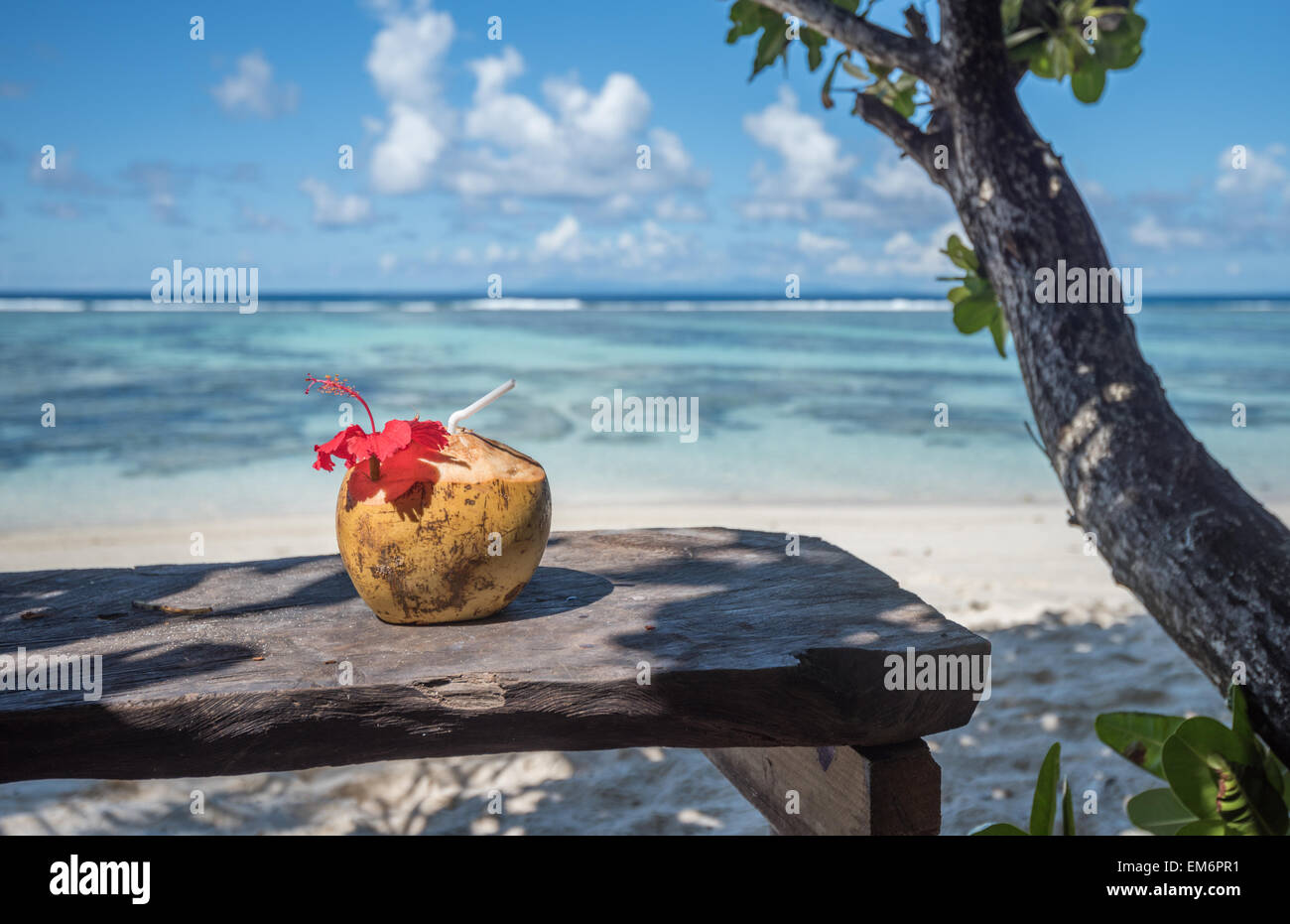 Pina colada in coconut on the tropical beach, Seychelles Stock Photo