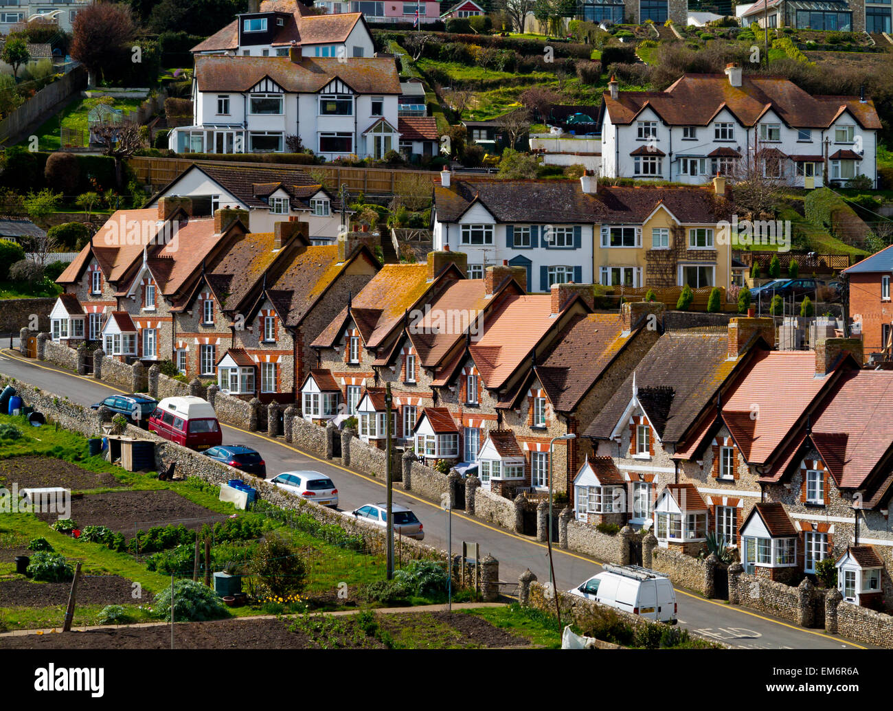 Terraced houses on a hillside in Beer a small seaside resort village in