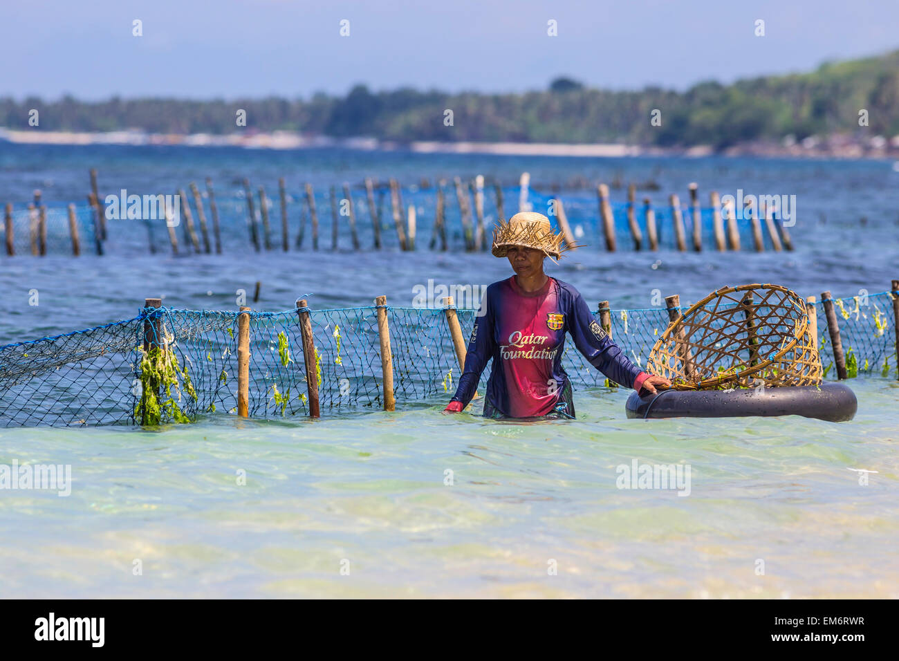 The Indonesian woman with seaweed. Stock Photo