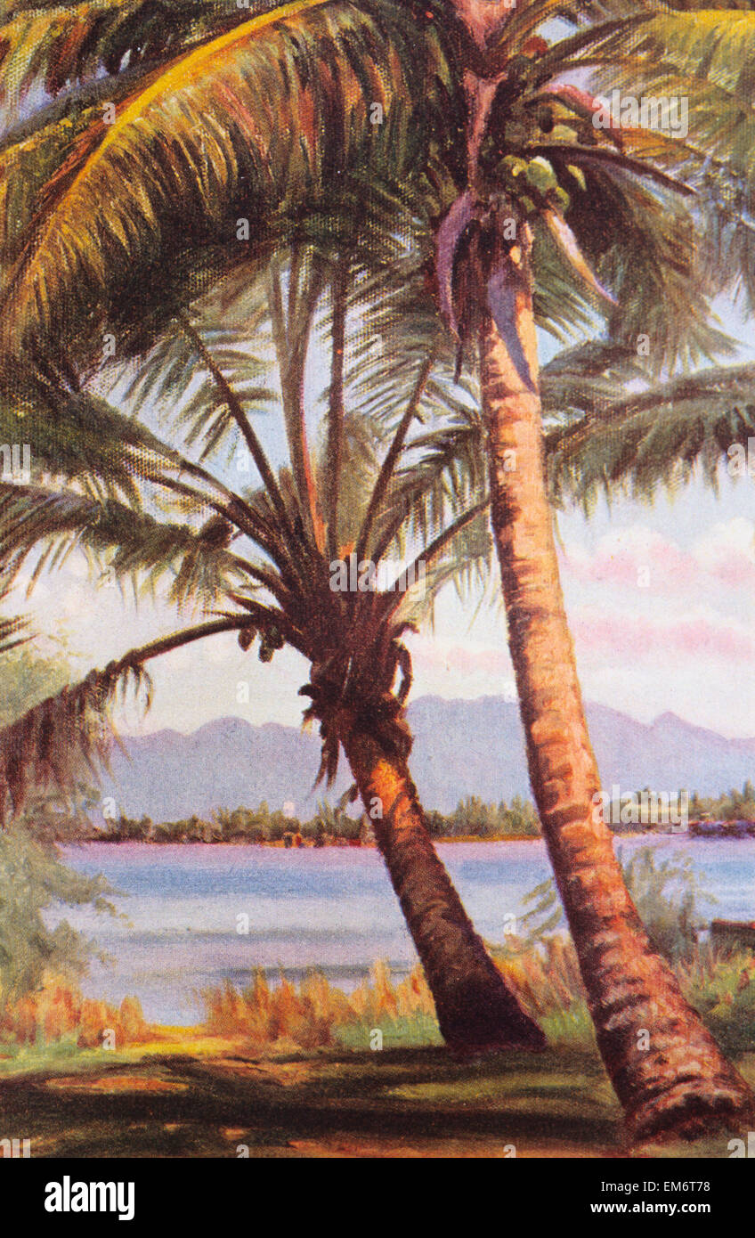 C.1925, Helen Dranga Art, Hawaii, Oahu, View Of Waianae Mountain Range Through Palm Trees. Stock Photo