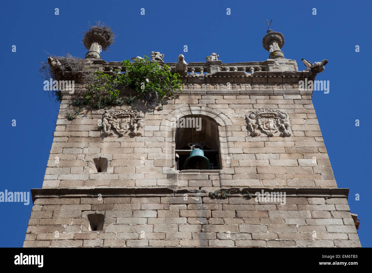 Church belfry full of bird nests, Casar de Caceres, Spain Stock Photo