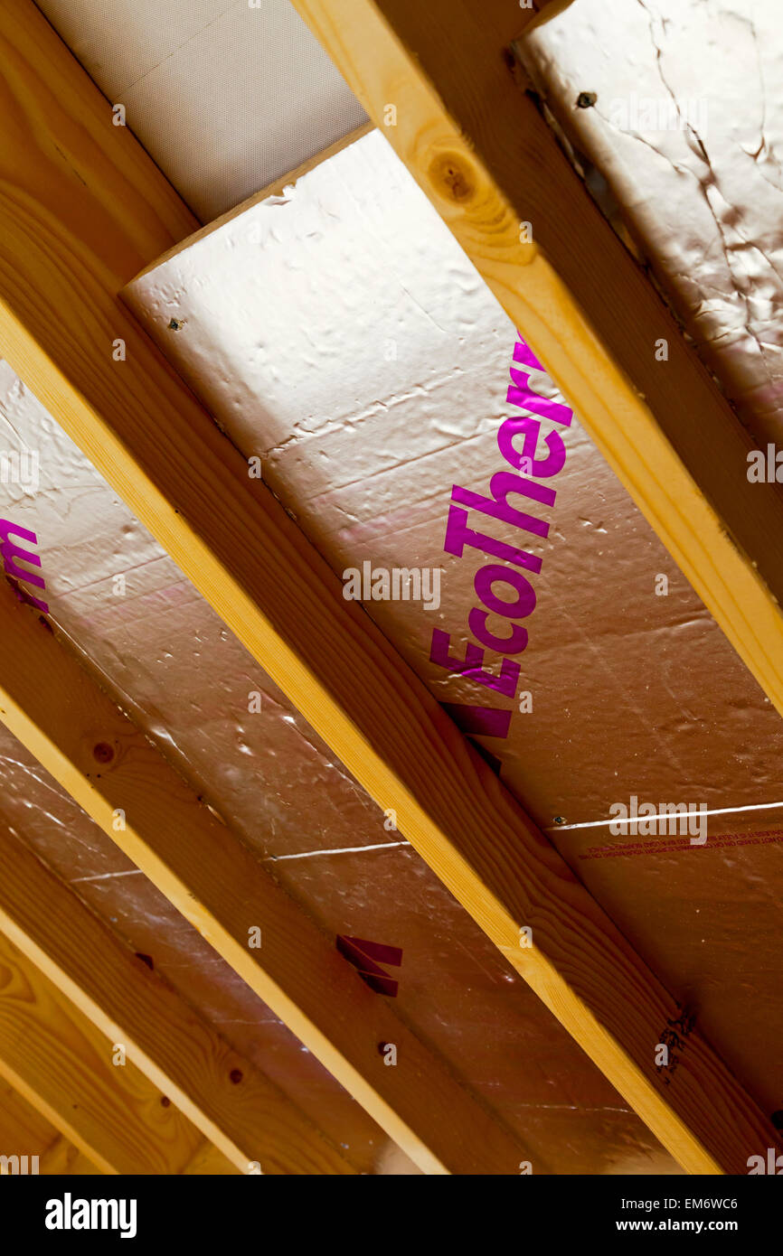 Interior Of New Building Under Construction Showing