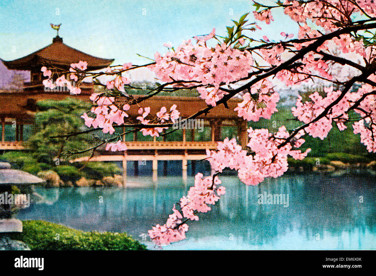 Cherry blossoms and a buddhist shrine Stock Photo
