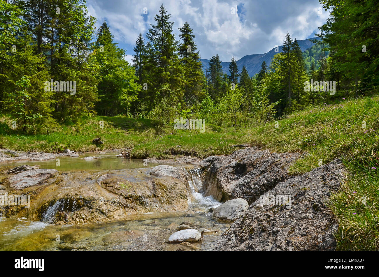 Bavaria Wildbad Kreuth hiking area  forest Stock Photo