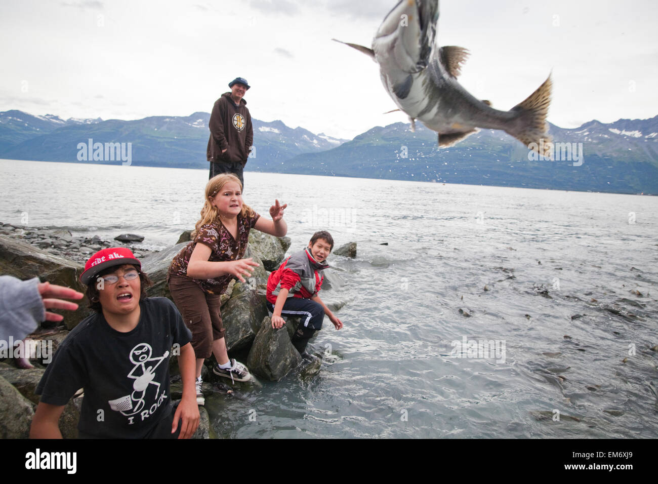 Children catch and throw salmon over the access gate at the Salomon Gulch  Hatchery near Valdez, Alaska Stock Photo - Alamy