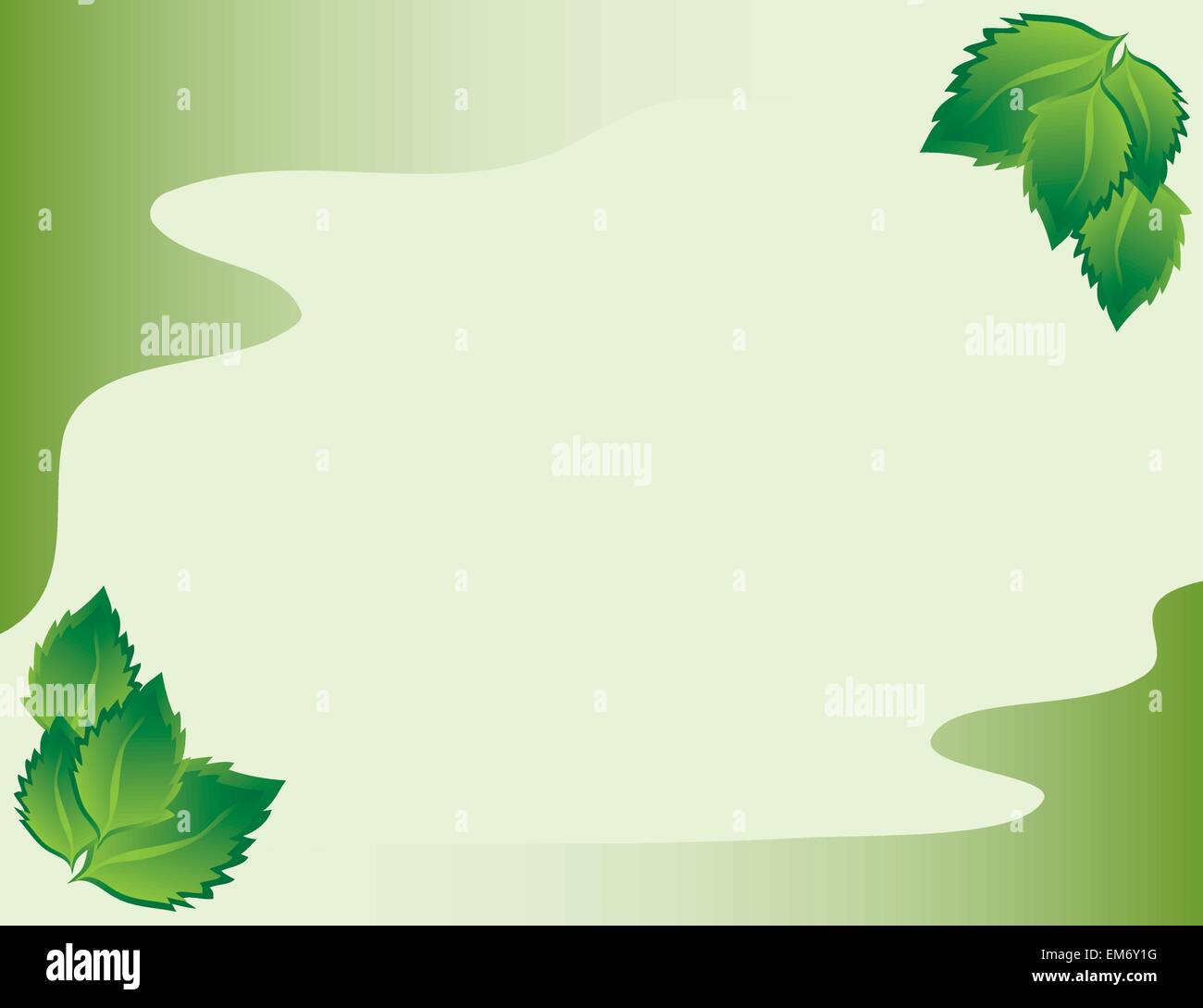 a light green background frame with birch leaves Stock Vector Image ...