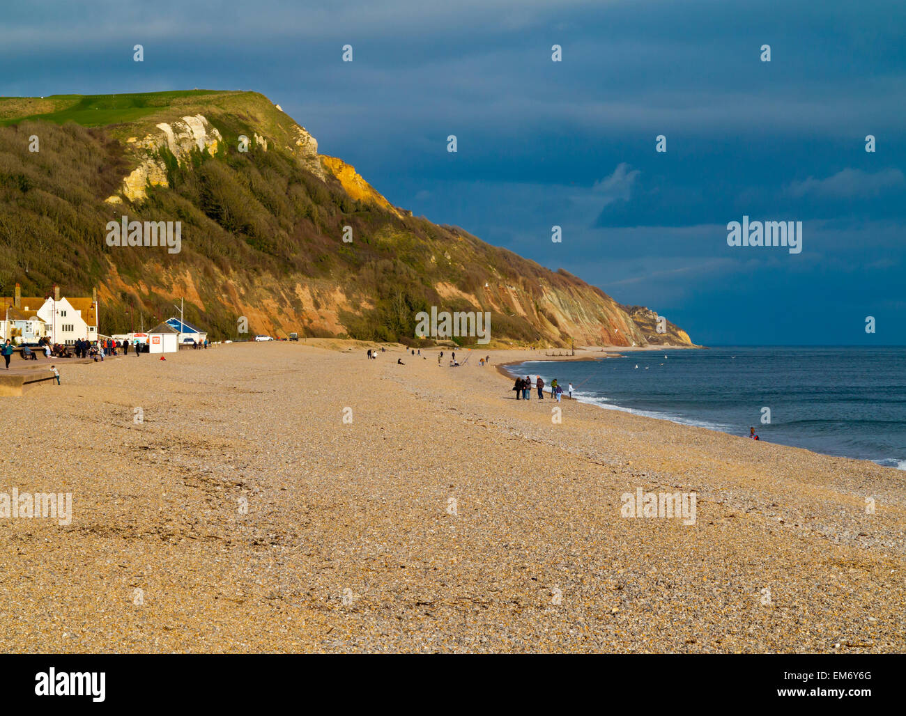 View from the beach at Seaton East Devon England UK looking east towards  the Undercliffs Nature Reserve Stock Photo