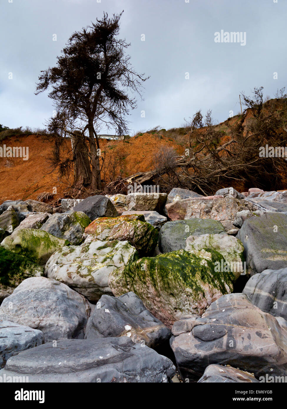 A photograph of rocks used as coastal defences under eroded cliffs at Seaton East Devon England UK Stock Photo