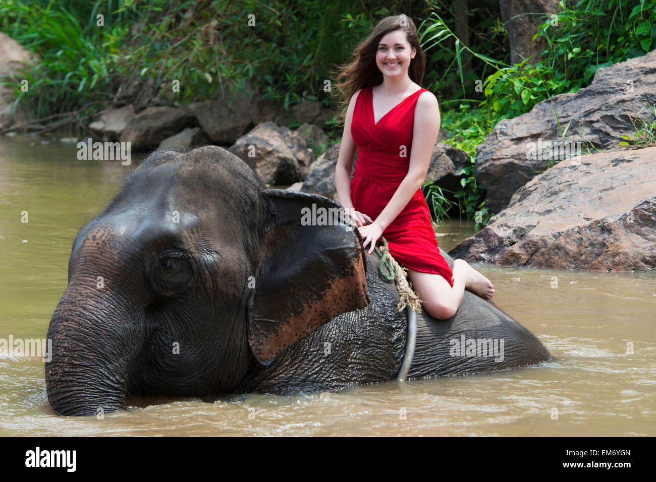 Girl riding an elephant in the river; Chiang Mai, Thailand Stock Photo