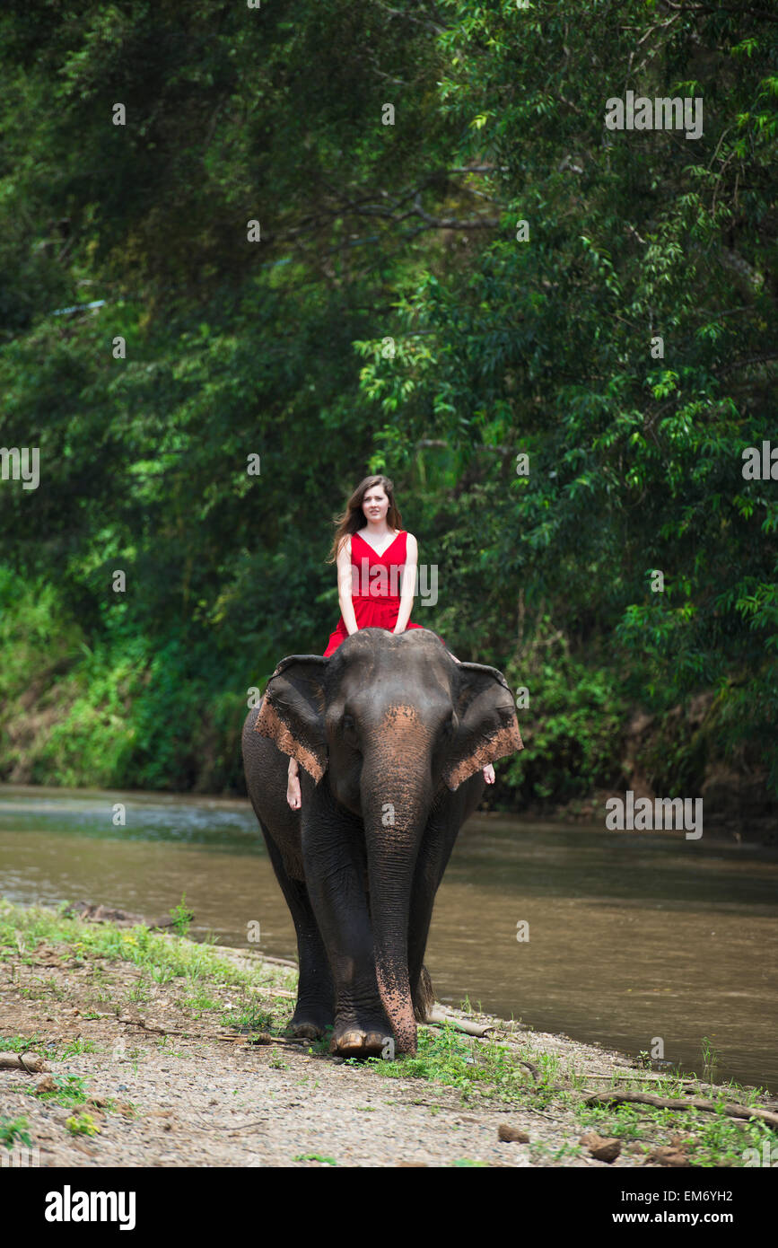 Girl riding an elephant; Chiang Mai, Thailand Stock Photo Alamy