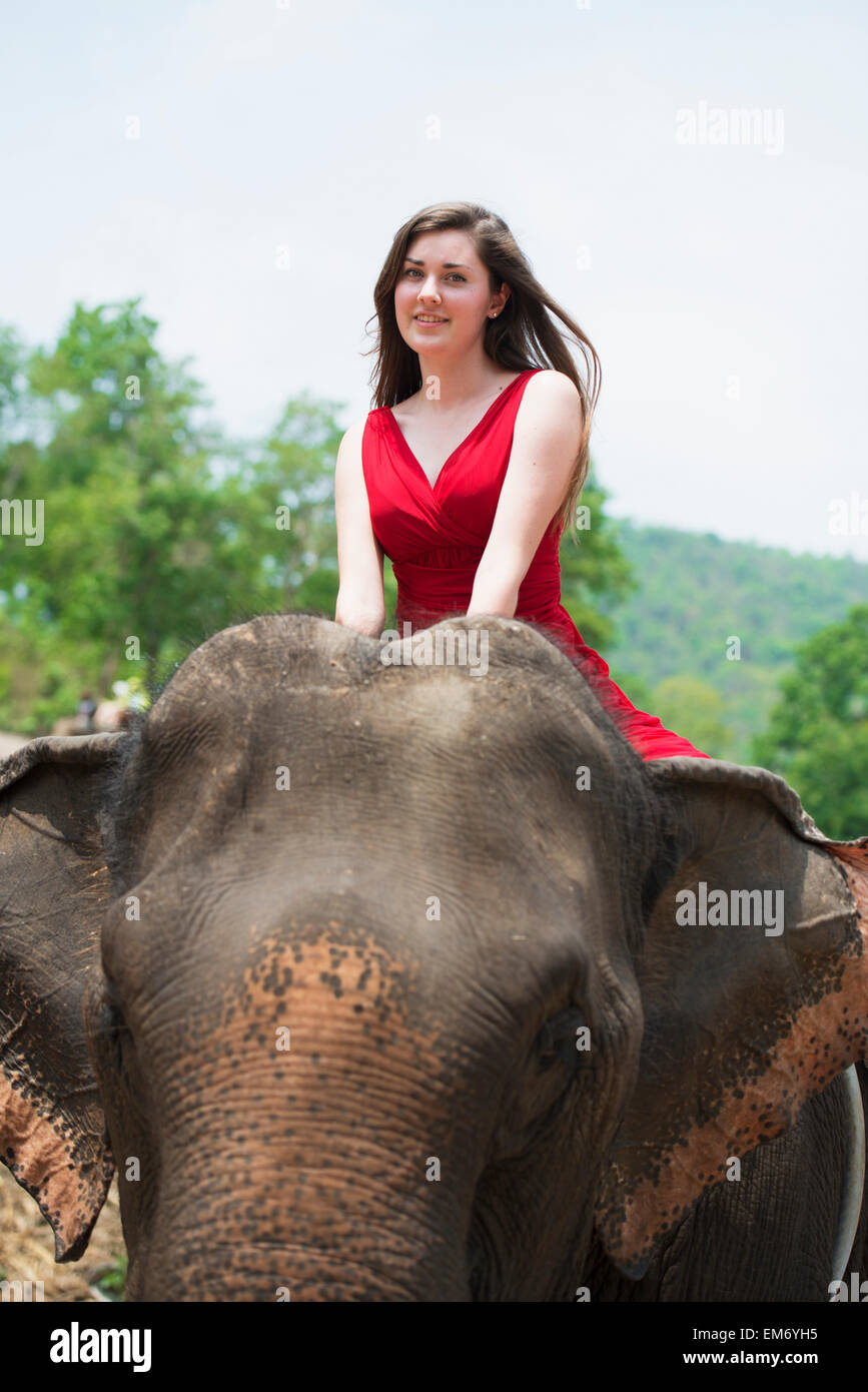 Girl riding an elephant; Chiang Mai, Thailand Stock Photo Alamy