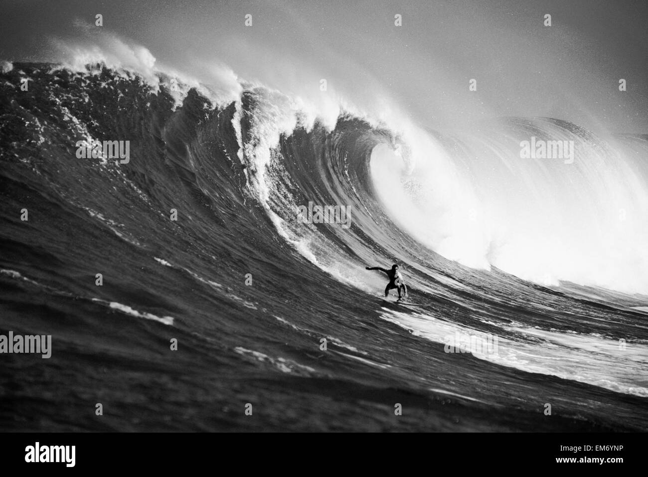USA, Hawaii, Maui, Surfer on big wave; Peahi Stock Photo Alamy