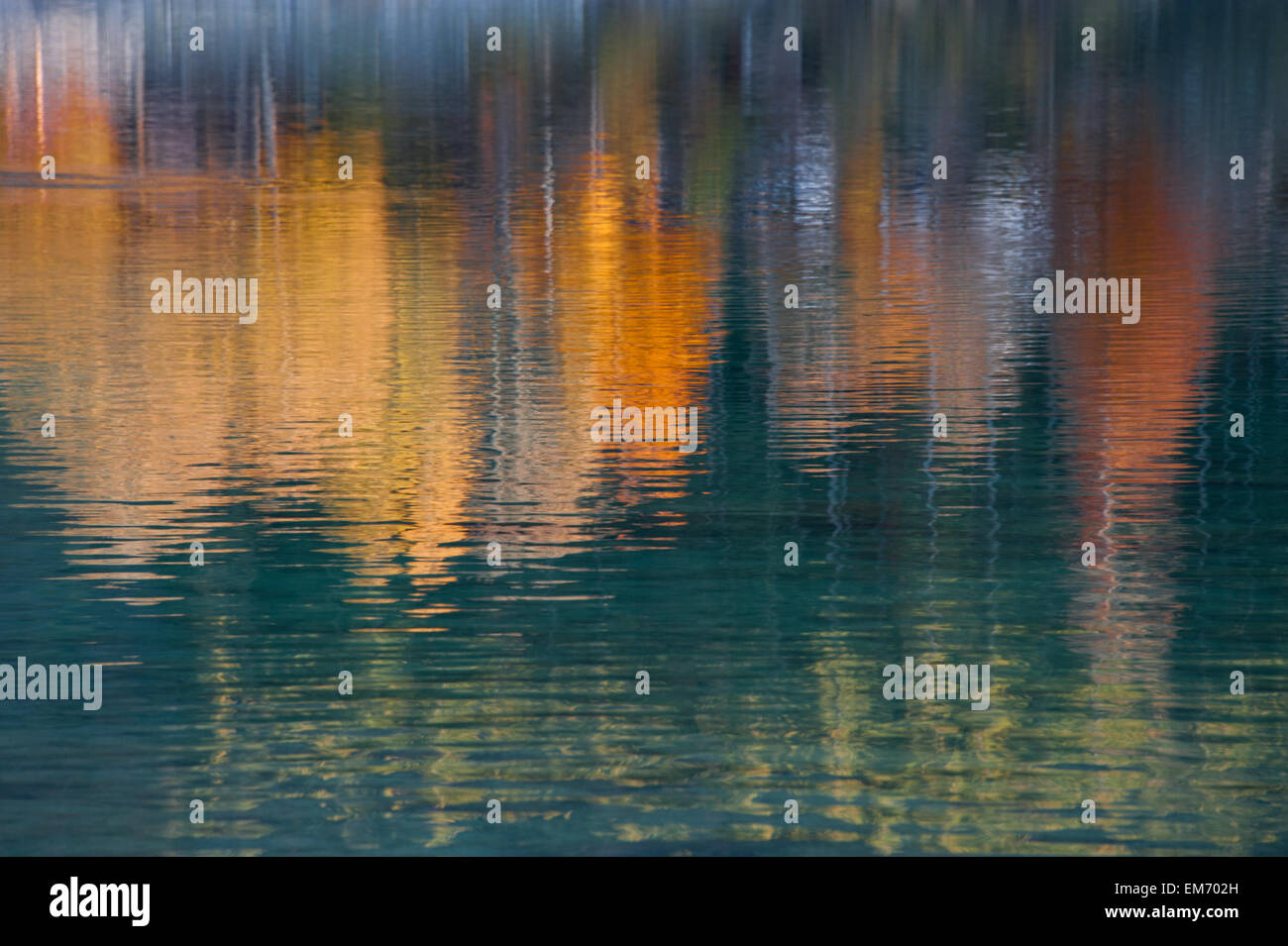 reflection of trees in Fall color in a lake Stock Photo - Alamy