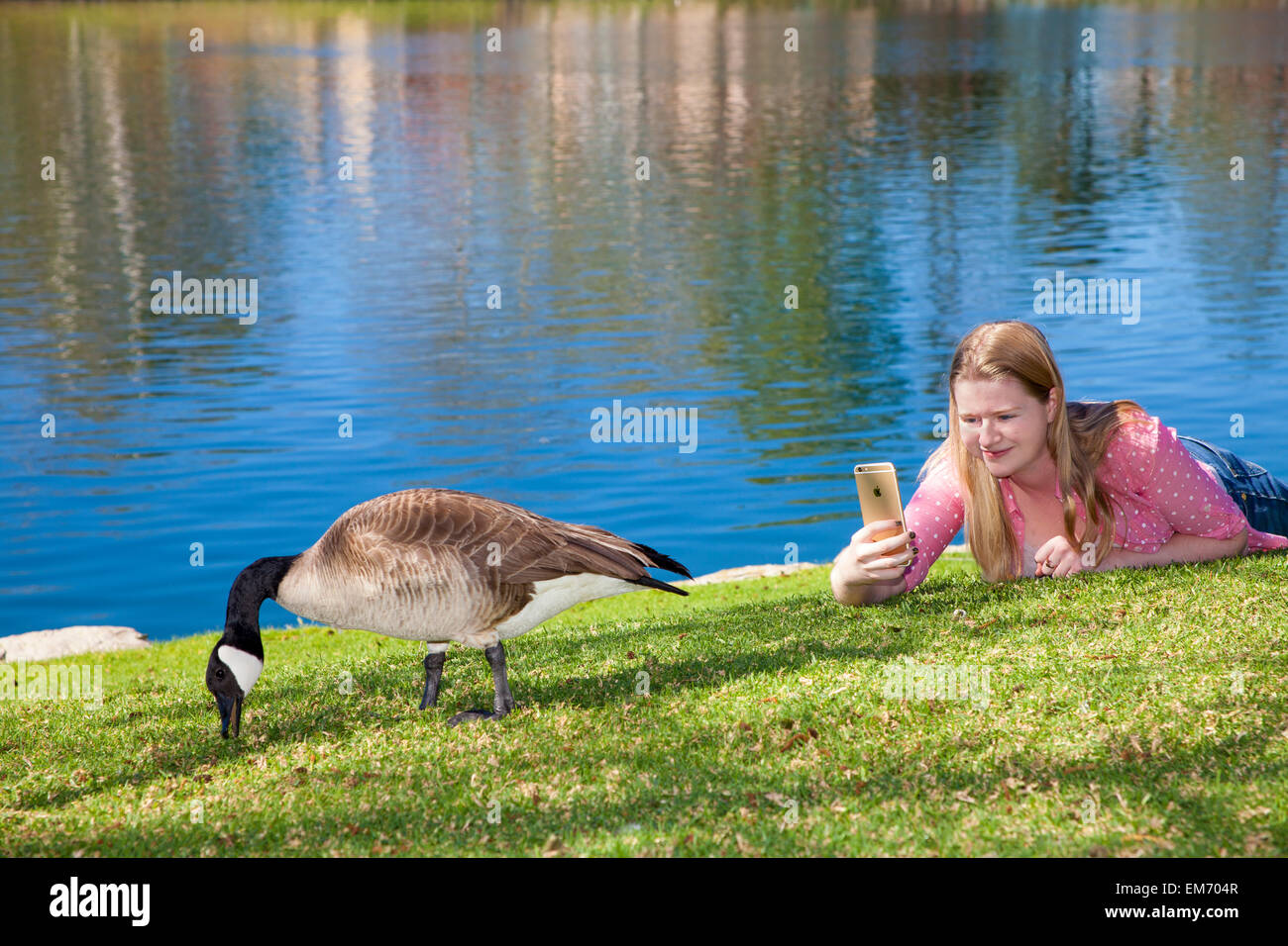 Teenage girl using iPhone mobile phone device outdoors lake  MR  © Myrleen Pearson Stock Photo