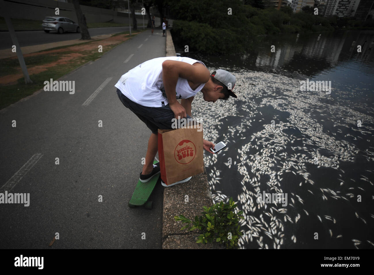 Rio de Janeiro, Brazil. 16th Apr, 2015. Dead fish in Rodrigo de Freitas ...