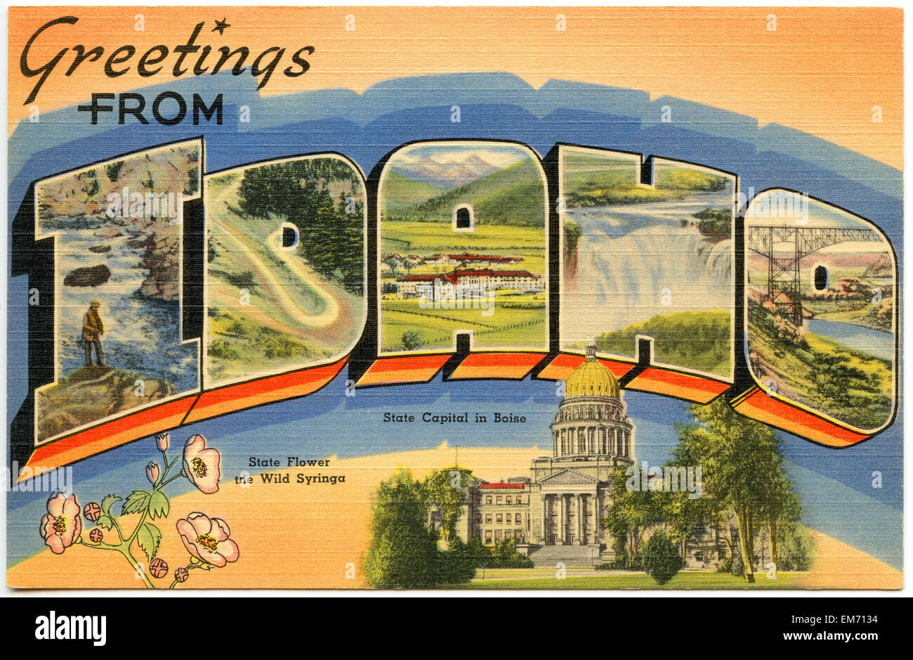 Large letter 'Greetings from Idaho ' state name vintage postcard ca. 1930's-1940's Stock Photo