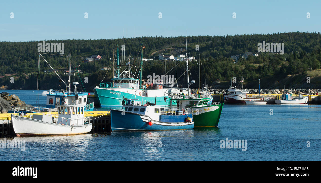 Bay Bulls Harbour; St. John's, Newfoundland and Labrador, Canada Stock Photo