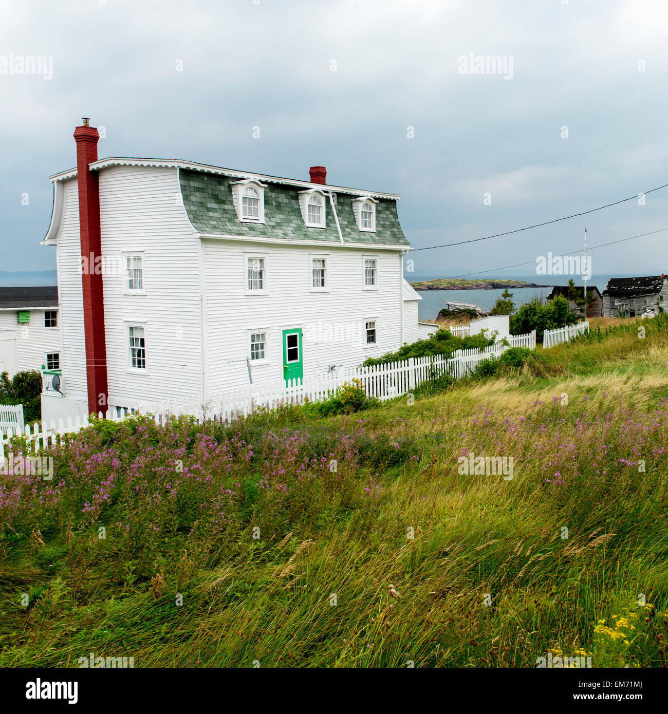 Houses on the atlantic coast; Plate Cove East, Newfoundland and Labrador, Canada Stock Photo