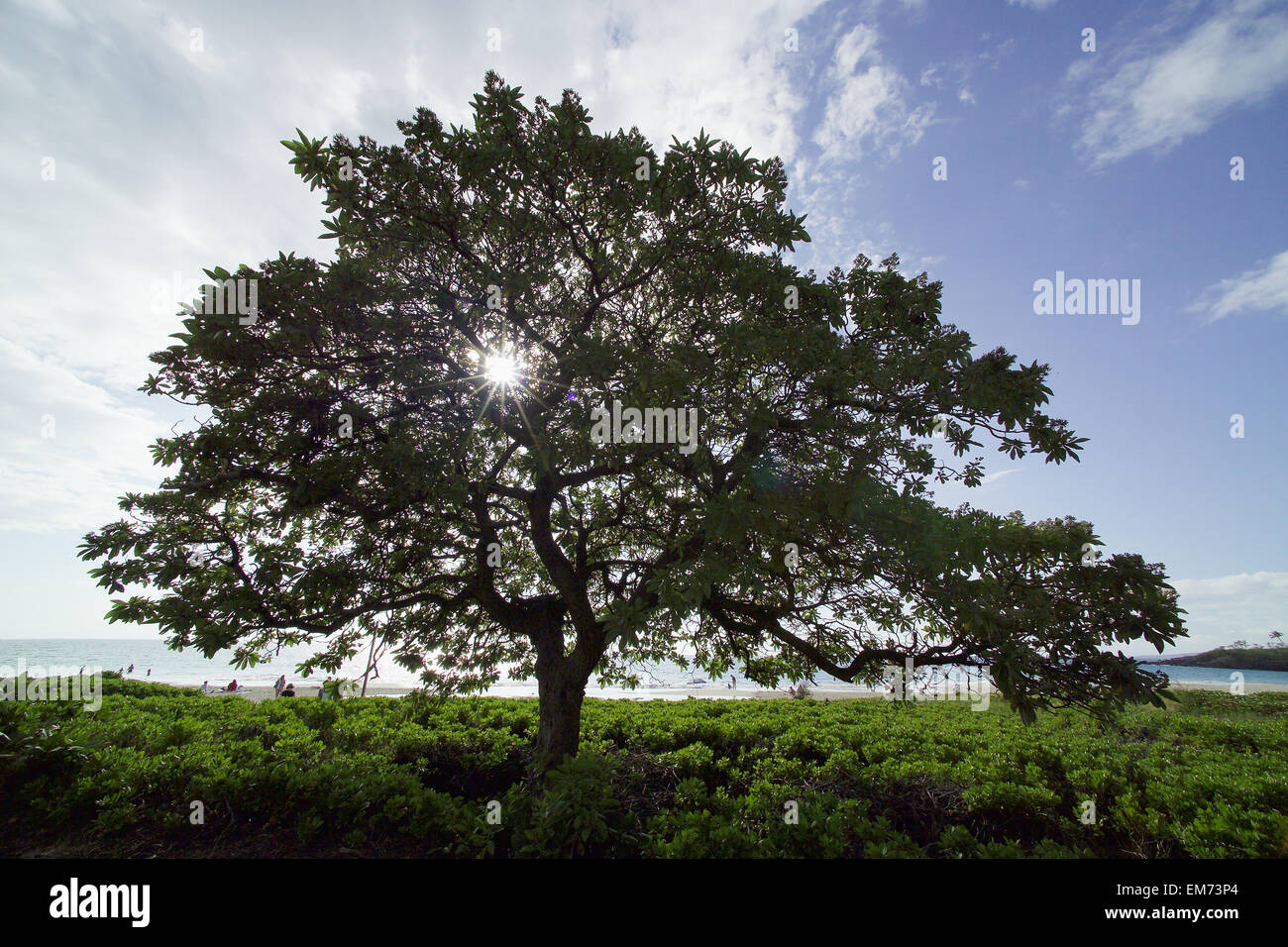 USA, Hawaiian Islands, Big Island, Hapuna Beach Park; Kohala Coast