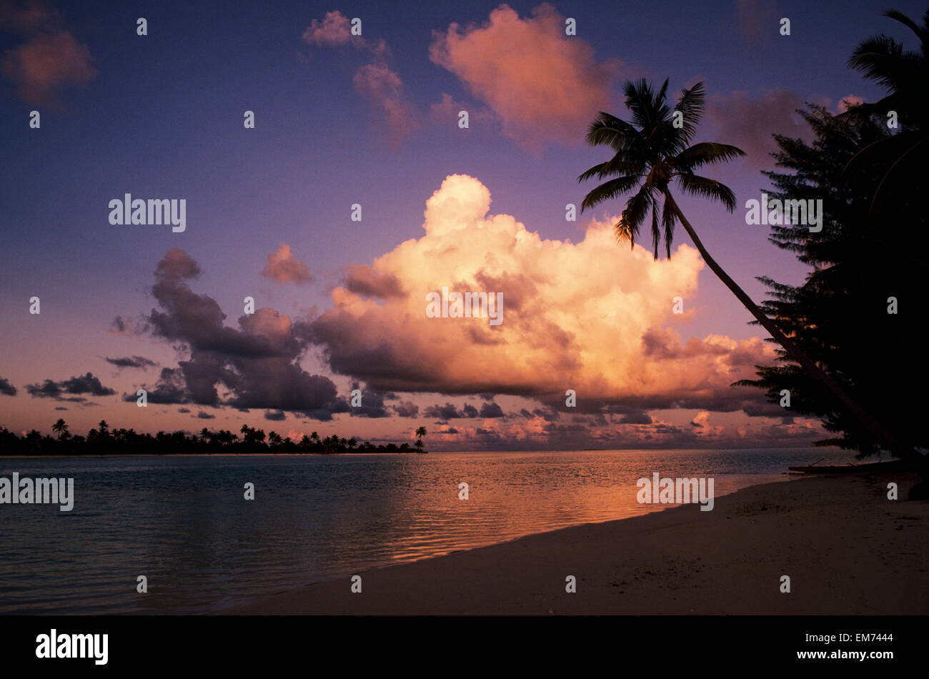French Polynesia, Tetiaroa (Marlon Brando's Island), Beautiful Beach With Palm Tree At Sunset. Stock Photo