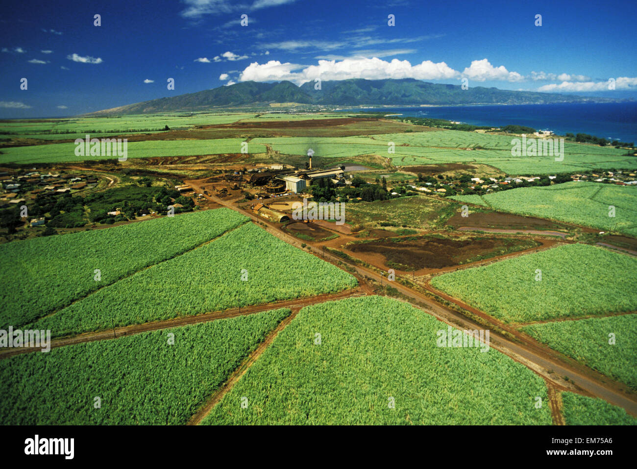 USA, Hawaii, Maui, Cane Fields and sugar mill; Paia Stock Photo
