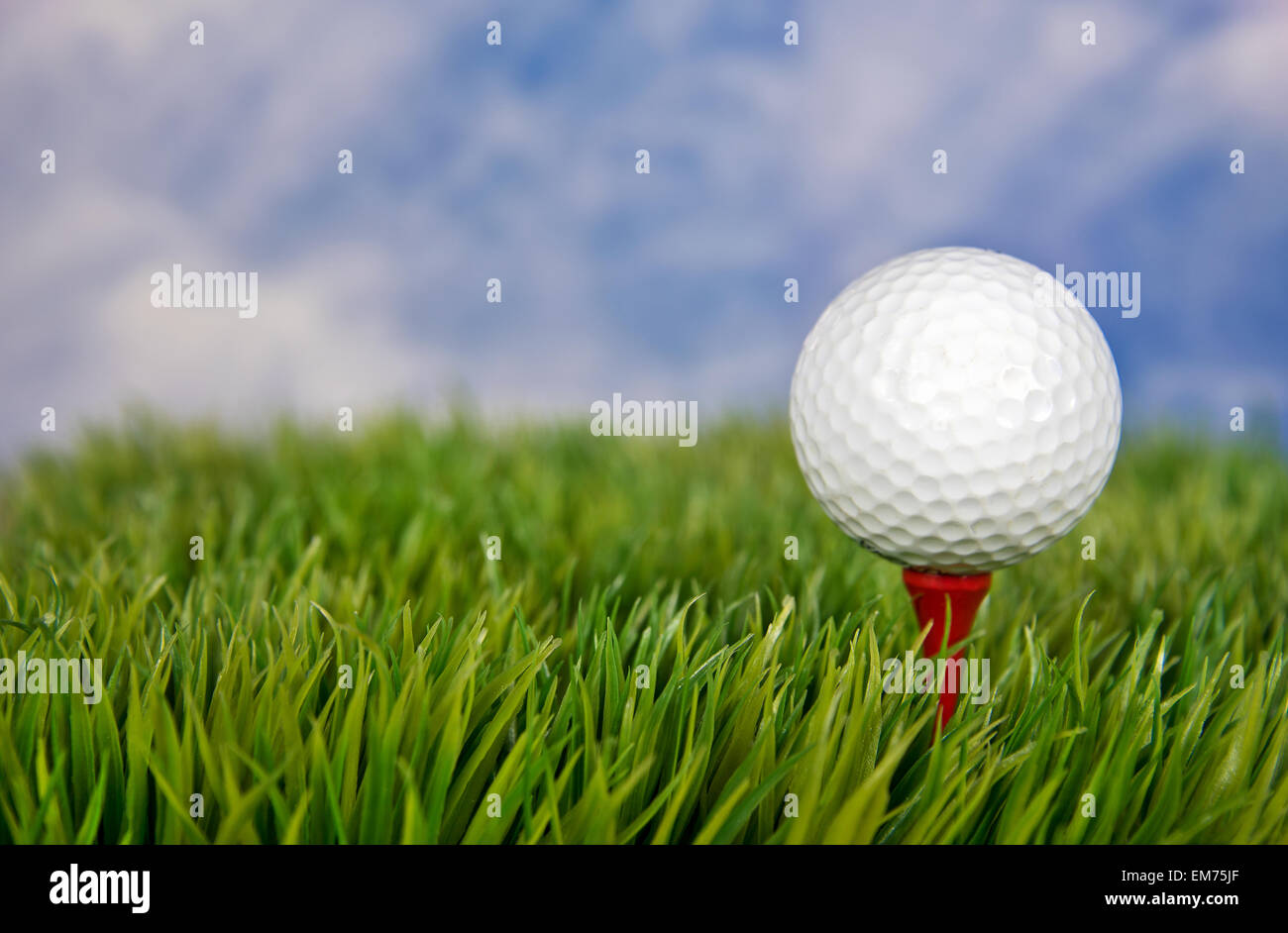Close up of a white golf ball on a red tee in grass. Stock Photo