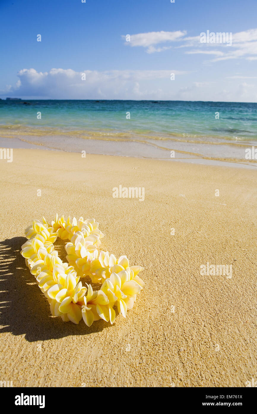 Hawaiian Lei Laying On Sandy High Resolution Stock Photography and ...