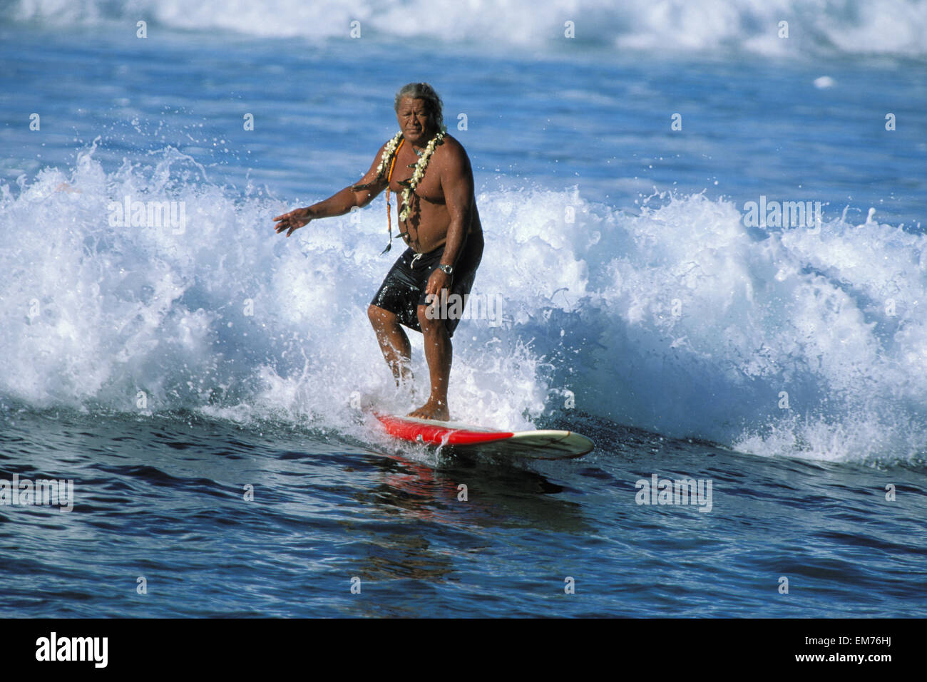 Legendary Beachboy, Buffalo K, Surfing Wave On Longboard Wearing Lei Stock Photo