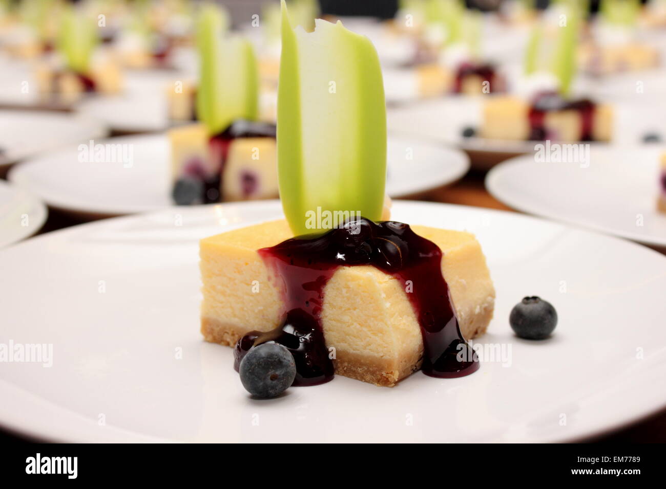 Closeup set of blueberry cheesecake on plate Stock Photo - Alamy
