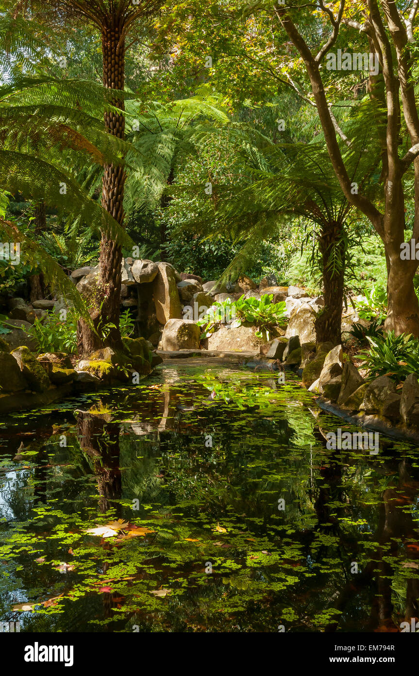 Alfred Nicholas Memorial Gardens Upper Pool, Sherbrooke Stock Photo