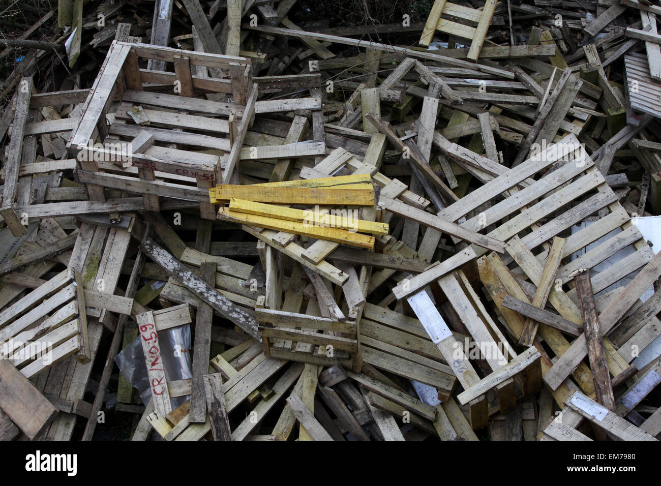 Pile of broken wooded pallets Stock Photo