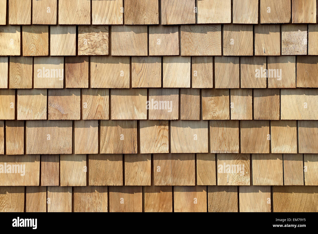 Tree bark background or texture Stock Photo - Alamy