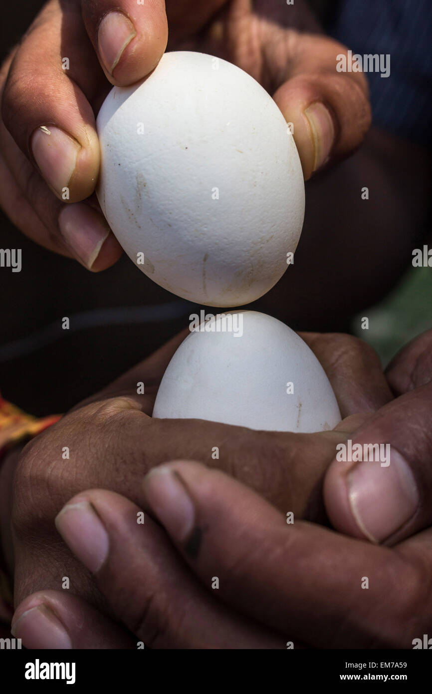 Another broken egg hires stock photography and images Alamy