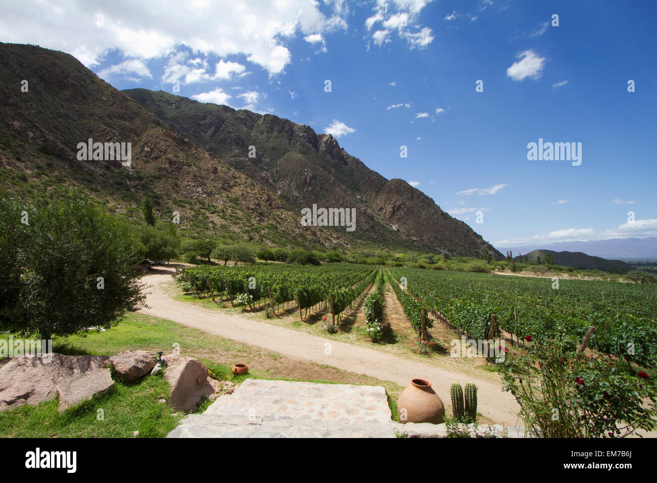 Las nubes winery sale