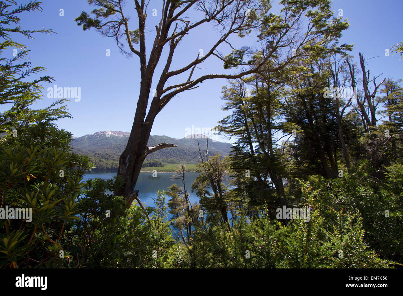 Lago Villarino, Nahuel Huapi National Park, Neuquen, Argentina Stock Photo