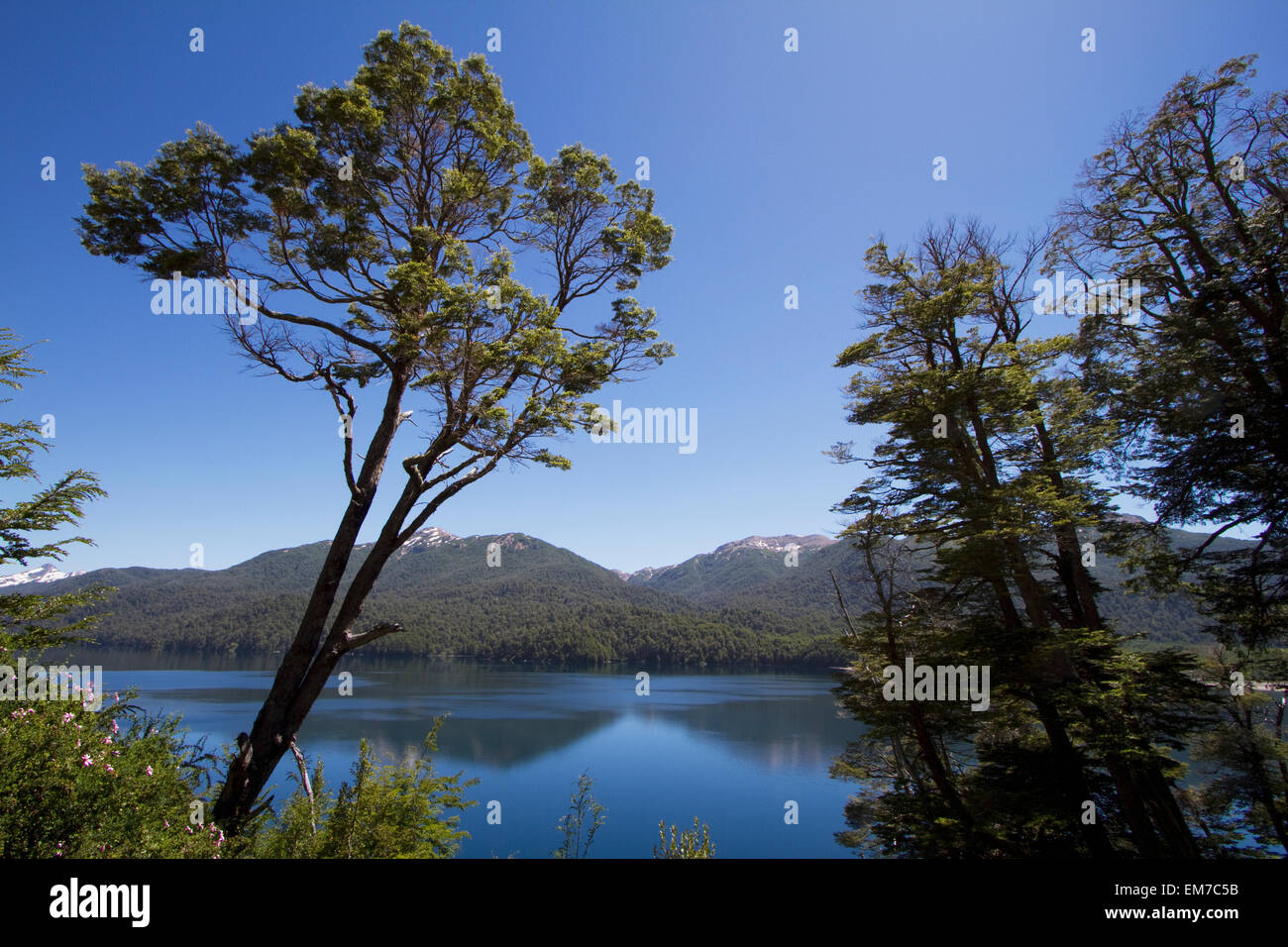 Lago Villarino, Nahuel Huapi National Park, Neuquen, Argentina Stock Photo