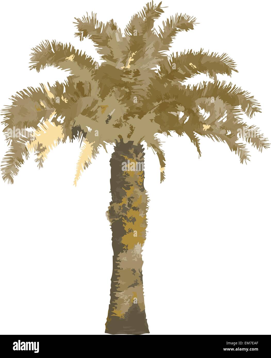 vector palm tree Stock Vector Image & Art - Alamy
