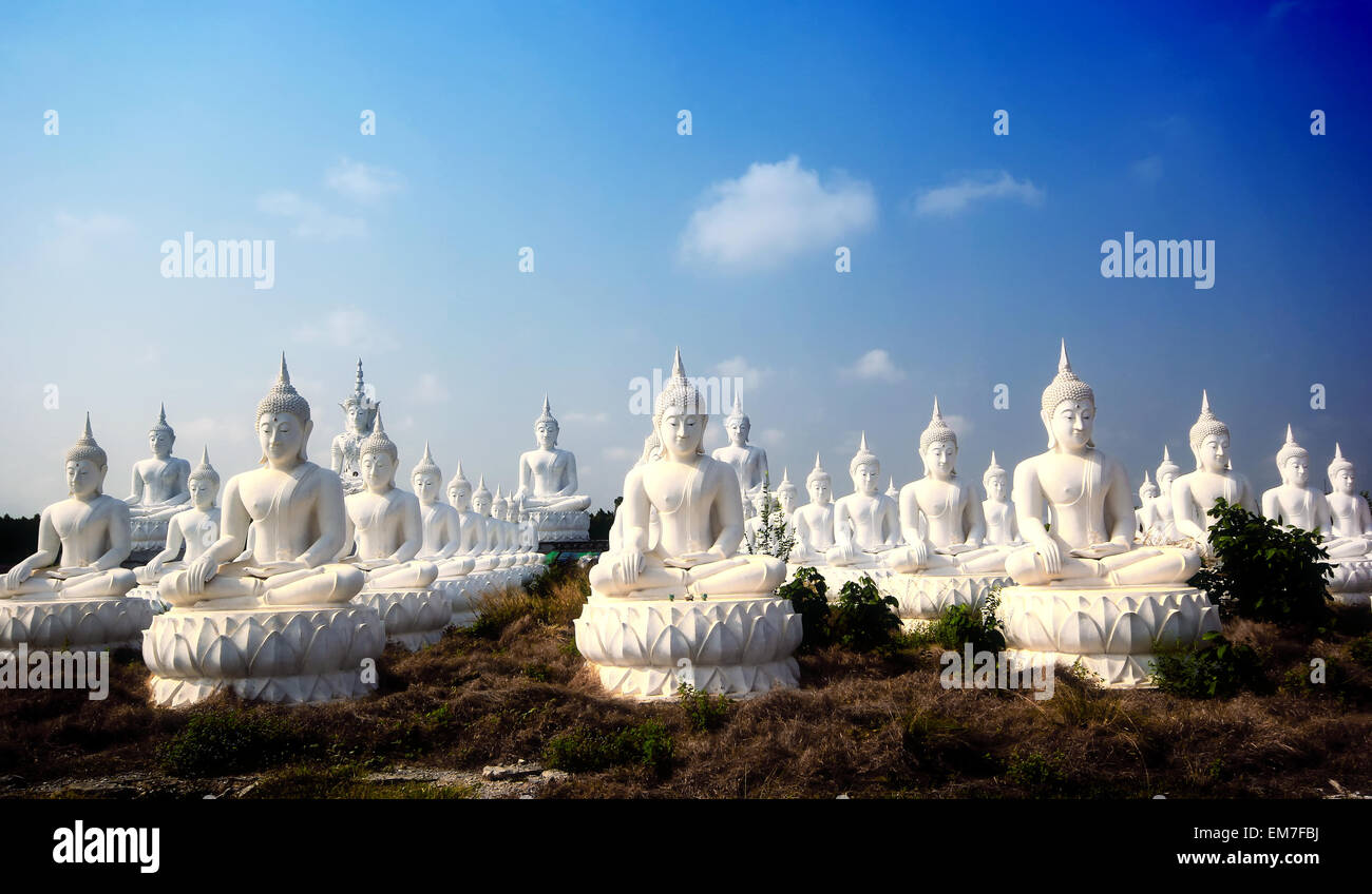 Buddha image in thai temple Stock Photo - Alamy