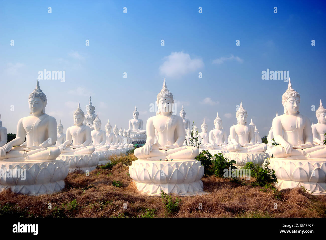 Buddha image in thai temple Stock Photo - Alamy
