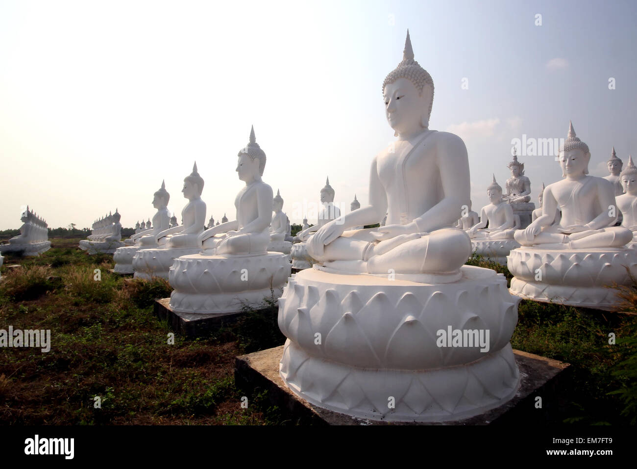 Buddha image in thai temple Stock Photo - Alamy